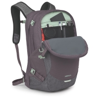 Osprey Nebula 32 Graphite Purple Heather