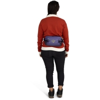 Osprey Transporter Waist Pack  Euphoria Purple