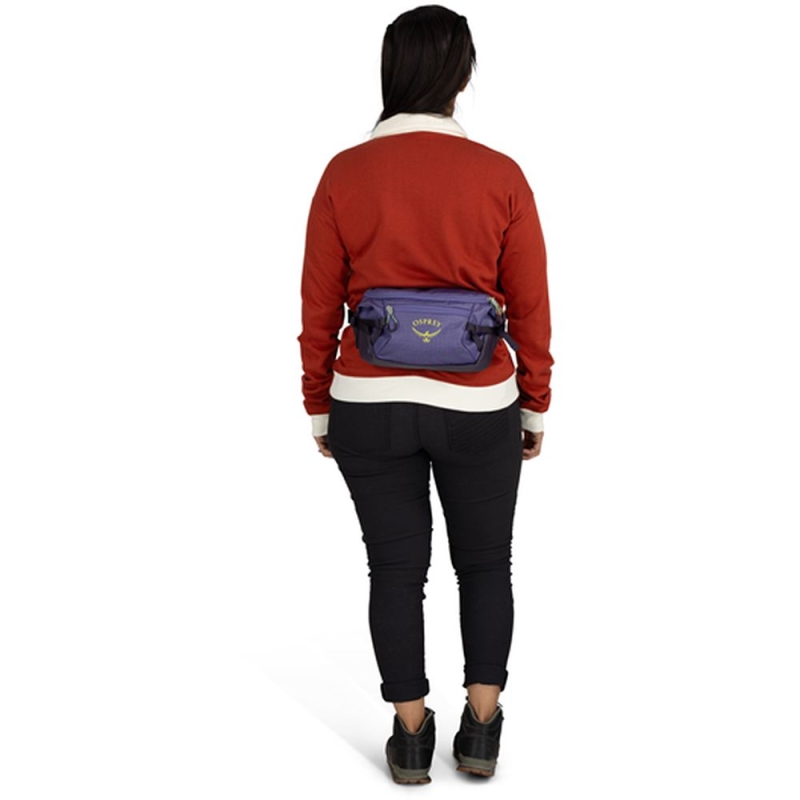 Osprey Transporter Waist Pack  Euphoria Purple