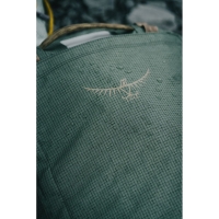 Osprey Transporter Duffel 65  Pine Leaf