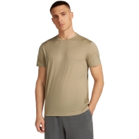 Icebreaker Mer 150 Tech Lite III SS Tee Flagstone