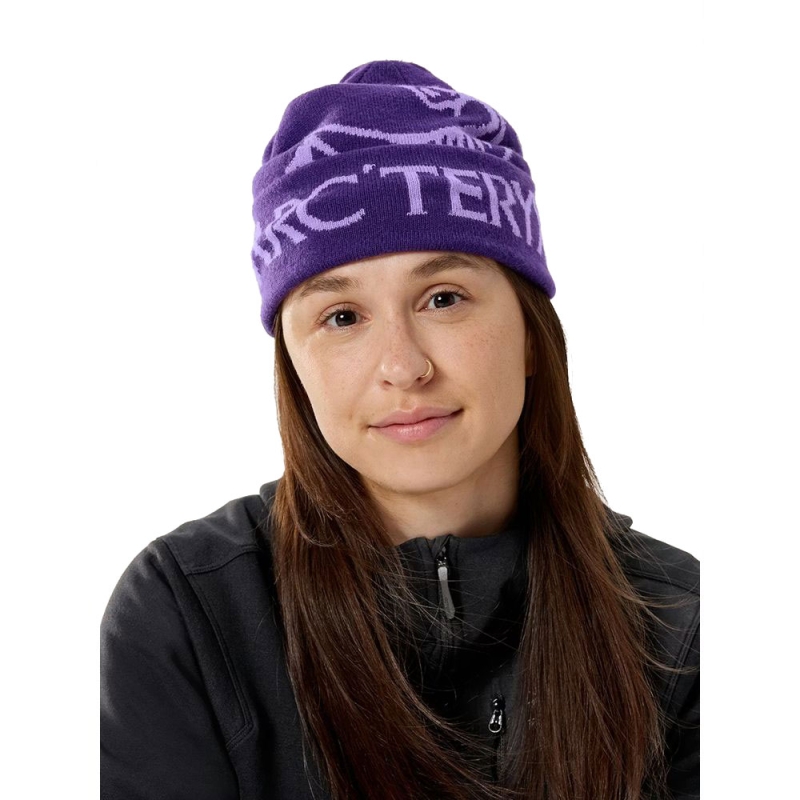 Arc'teryx Bird Word Toque Azalea / Aster