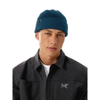 Arc'teryx Mallow Toque Nightscape