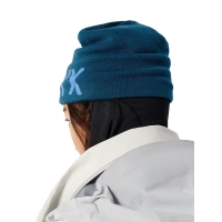 Arc'teryx Word Head Toque Nightscape / Glacial