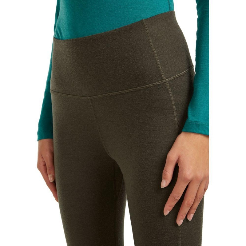 Icebreaker Mer 260 Fastray Ii 25 High Rise Tights Women's Dk Loden vest