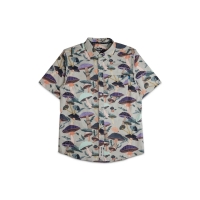 Kavu Festaruski Mushroom Realm