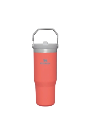 Stanley  The IceFlow Flip Straw Tumbler 0,89L Guava