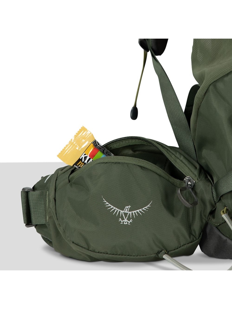 Osprey Kestrel 38 Bonsai Green 10004768 dagrugzakken online bestellen bij Kathmandu Outdoor & Travel