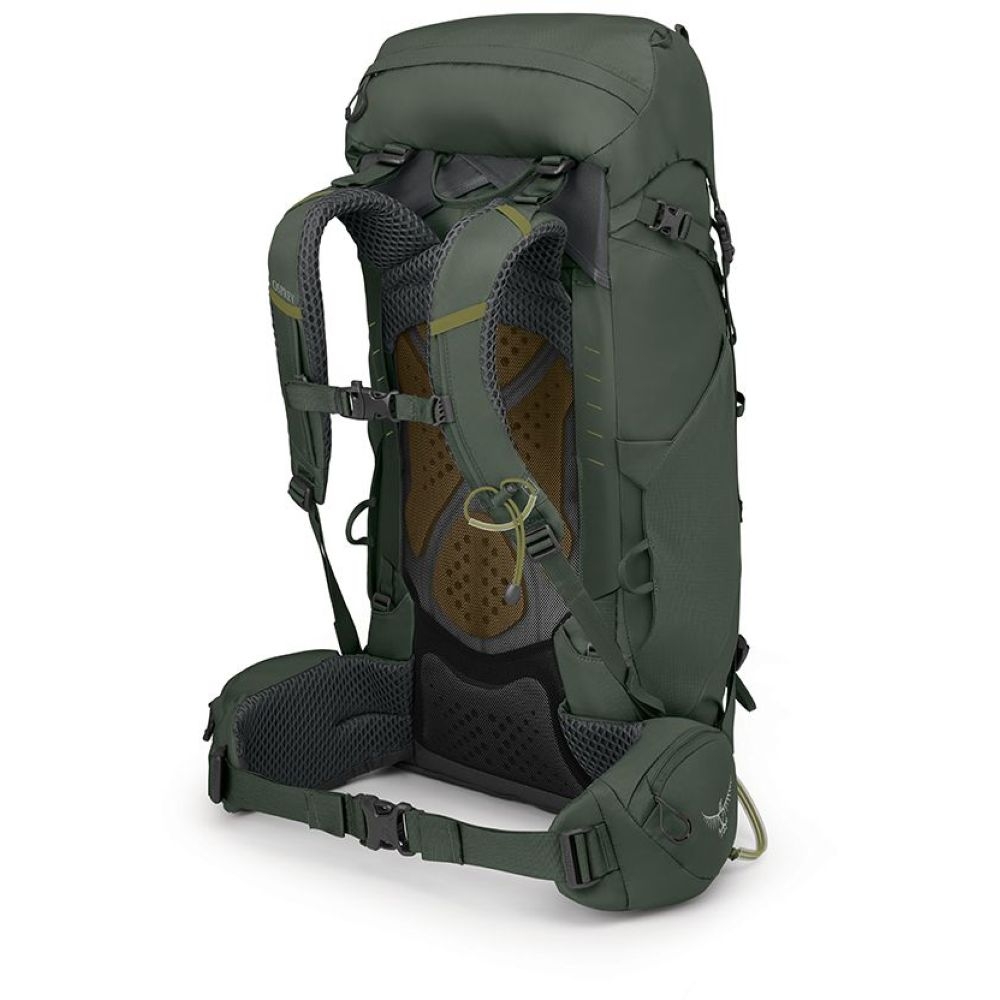 Osprey Kestrel 38 L/XL Bonsai Green 10004769 dagrugzakken online bestellen bij Kathmandu Outdoor & Travel