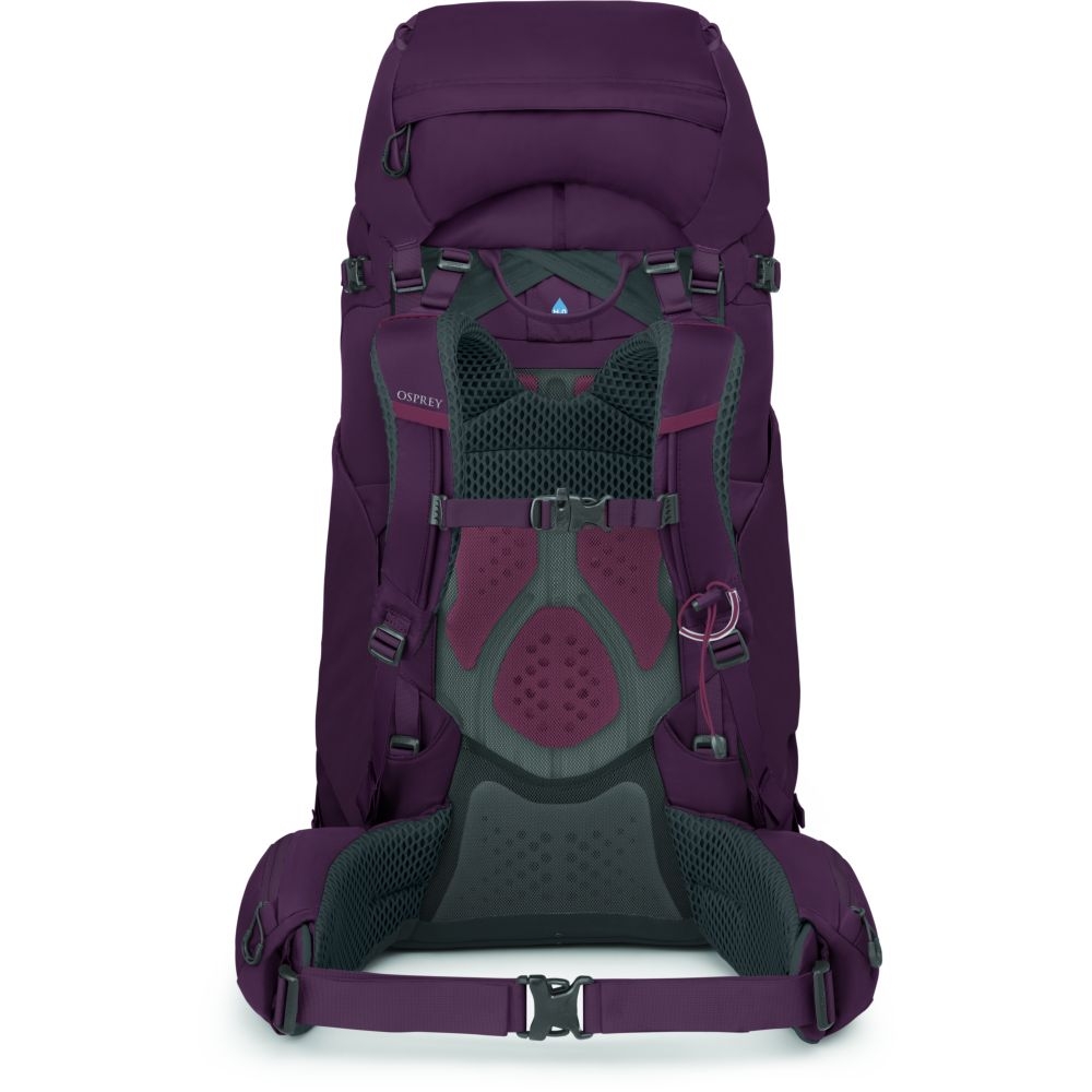 Osprey Kyte 68 Women's Elderberry Purple 3014-214 trekkingrugzakken online bestellen bij Kathmandu Outdoor & Travel