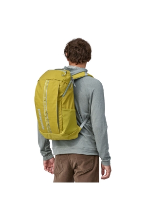 Patagonia  Black Hole Pack 25L Shrub Green 