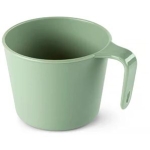 Kleur Groen