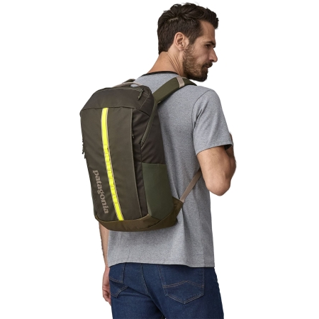 Patagonia  Black Hole Pack 25L Pine Needle Green 