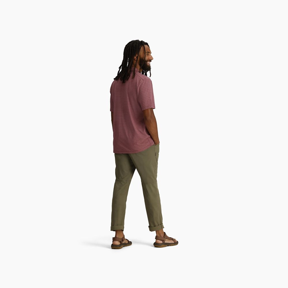 Royal Robbins Vacationer Polo Wild Rhubarb Str Y711030-641 shirts en tops online bestellen bij Kathmandu Outdoor & Travel