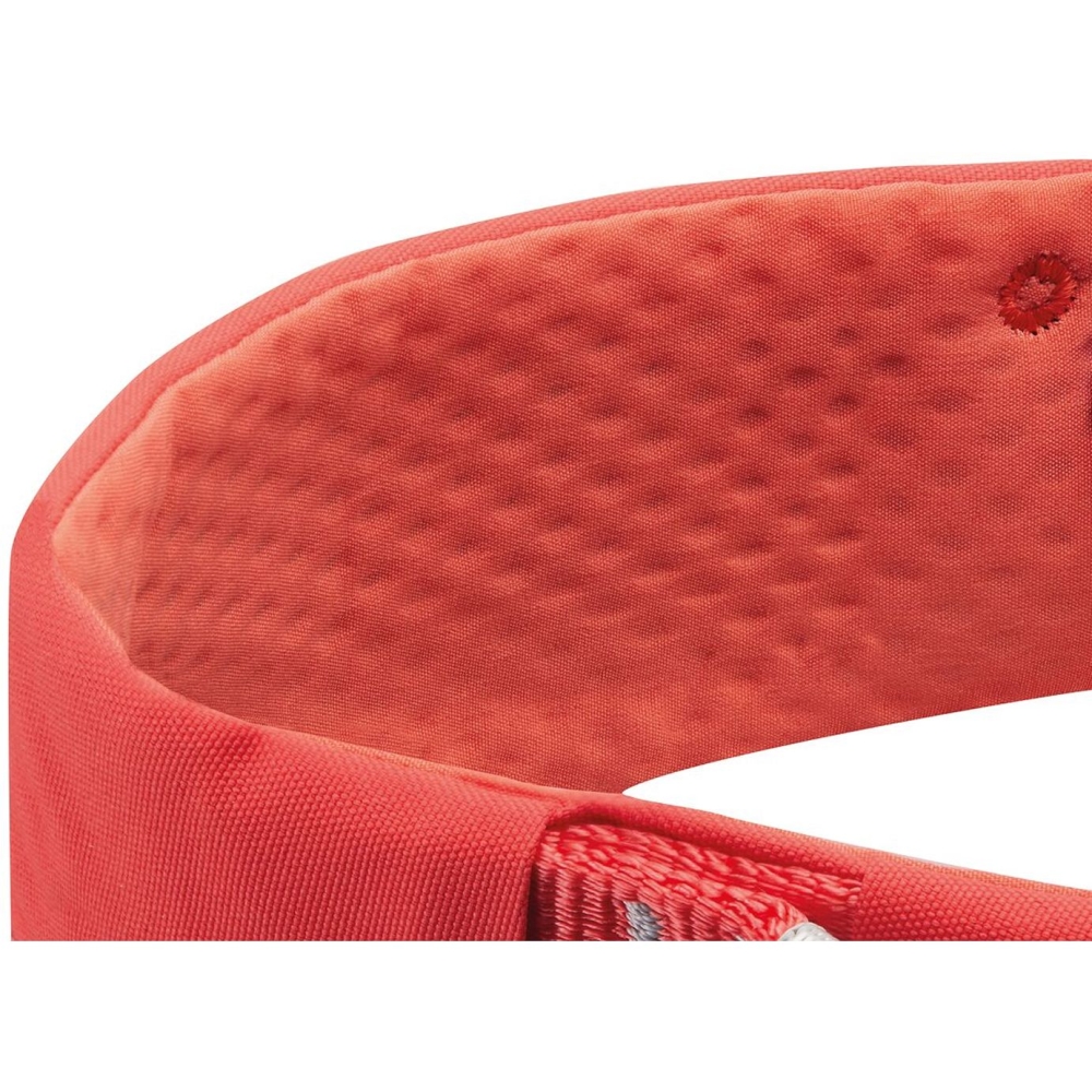 Petzl Luna Coral Red C035CA01 klimgordels online bestellen bij Kathmandu Outdoor & Travel
