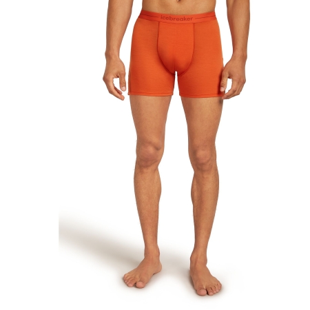 Icebreaker  Anatomica Boxers Fervid