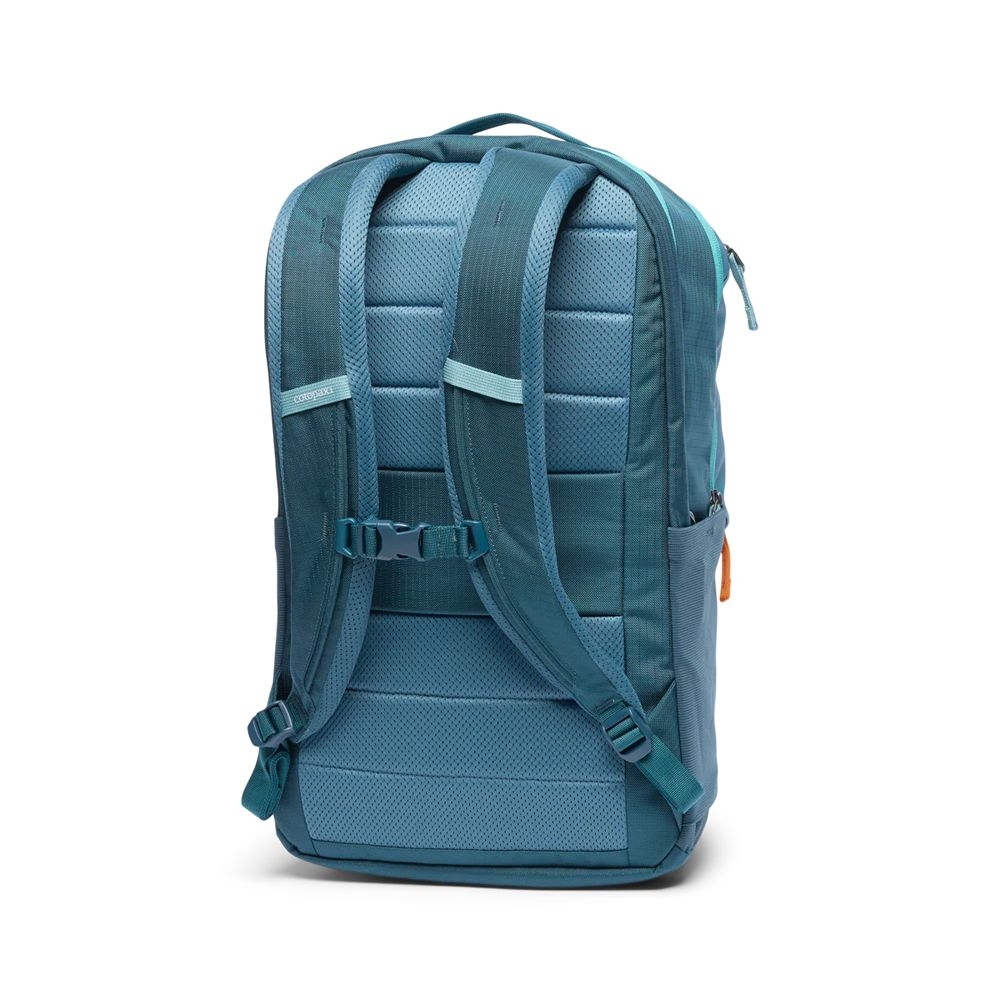 Cotopaxi Allpa 26L Daypack Blue Spruce And Abyss A26-SPABY-53 reistassen online bestellen bij Kathmandu Outdoor & Travel