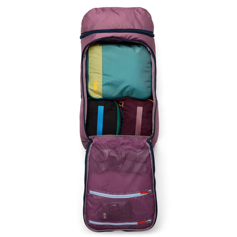 Cotopaxi Allpa 50L Adventure Travel Pack Fig A50A-FIG-53 reistassen online bestellen bij Kathmandu Outdoor & Travel