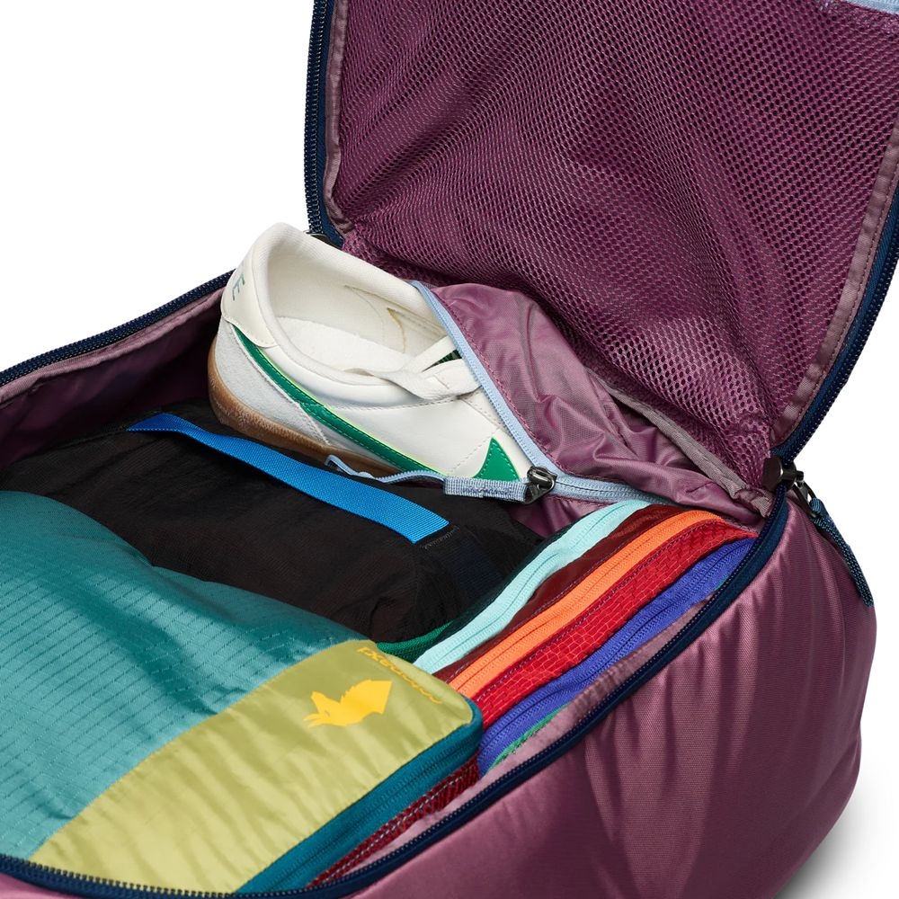 Cotopaxi Allpa 50L Adventure Travel Pack Fig A50A-FIG-53 reistassen online bestellen bij Kathmandu Outdoor & Travel