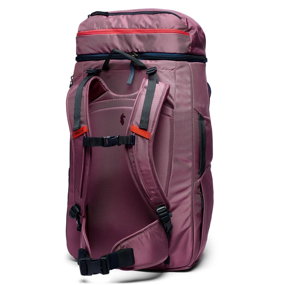 Cotopaxi Allpa 50L Adventure Travel Pack Fig A50A-FIG-53 reistassen online bestellen bij Kathmandu Outdoor & Travel
