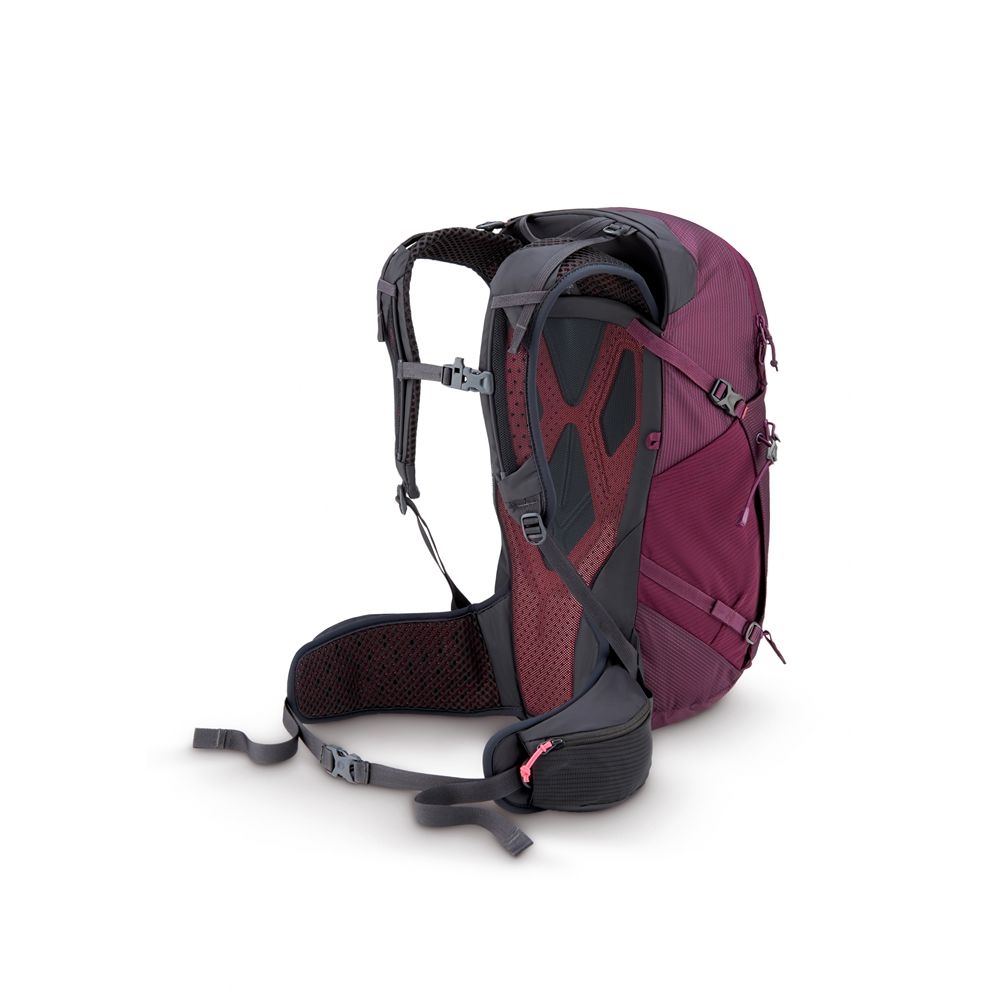 Rab Rab Protium 25 ND QAP-63-MUL dagrugzakken Rab Protium 25 ND Mulberry QAP-63-MUL dagrugzakken online bestellen bij Kathmandu Outdoor & Travel