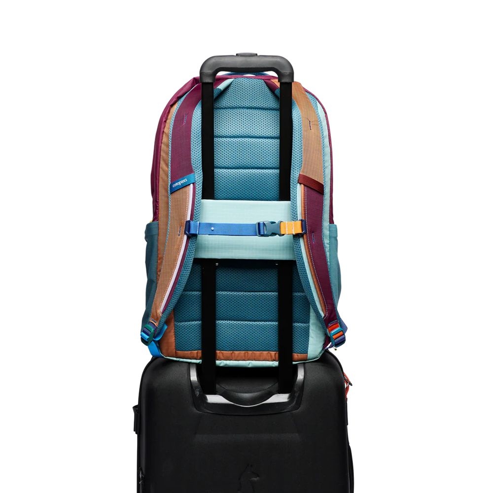 Cotopaxi Allpa 26L Daypack Del Dia A26-S26-DD dagrugzakken online bestellen bij Kathmandu Outdoor & Travel