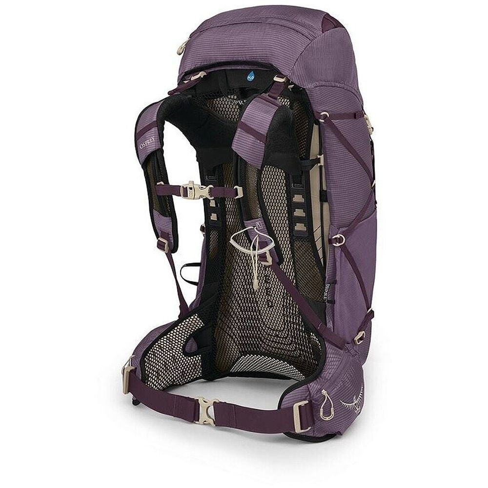 Osprey Osprey Eja 38 Women's 1000704 dagrugzakken Osprey Eja 38 Women's Purple Dusk 1000704 dagrugzakken online bestellen bij Kathmandu Outdoor & Travel