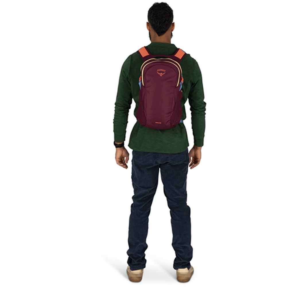 Osprey Daylite  Moody Burgundy 10006292 dagrugzakken online bestellen bij Kathmandu Outdoor & Travel
