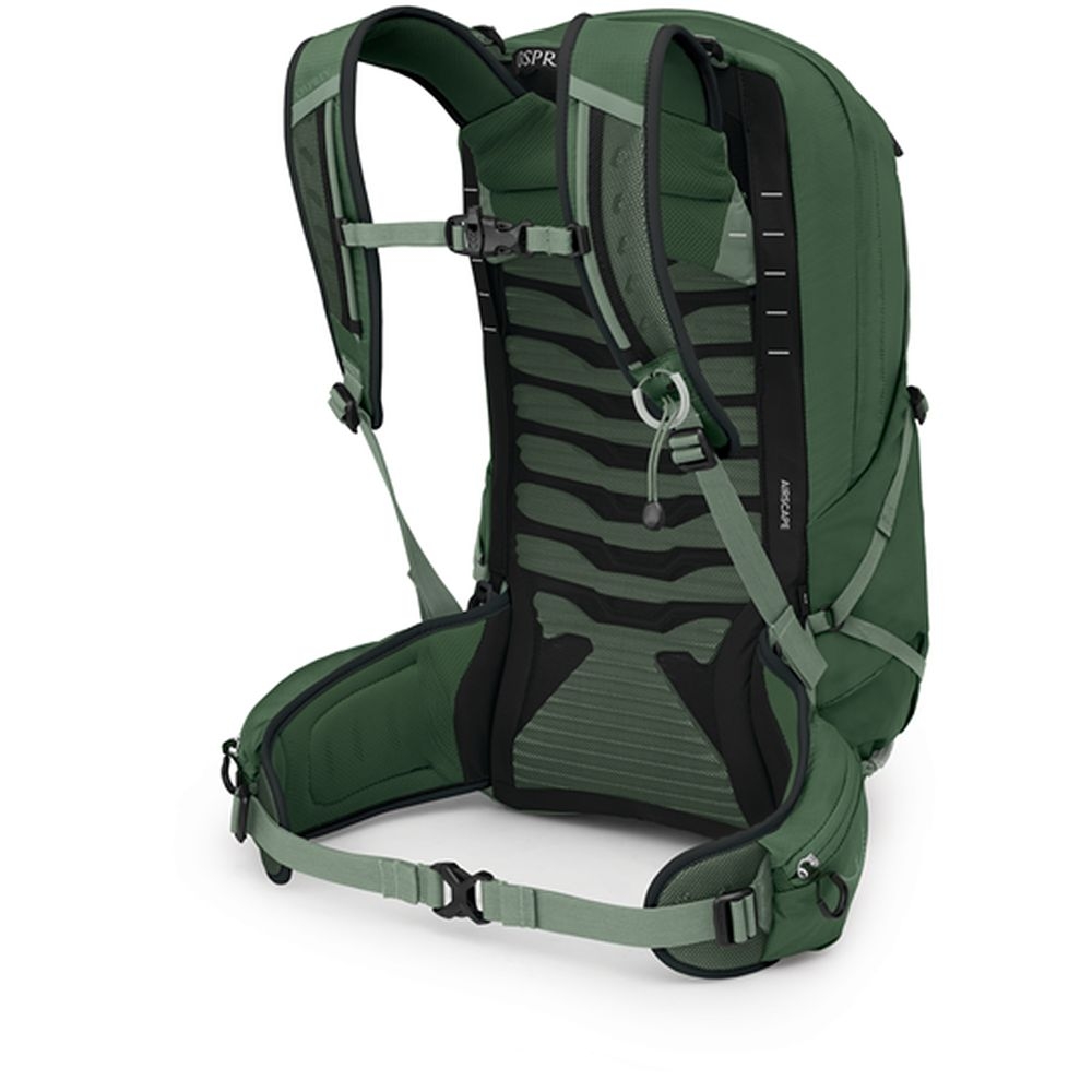 Osprey Talon 22  Green Canopy Pine Leaf 10006767 dagrugzakken online bestellen bij Kathmandu Outdoor & Travel