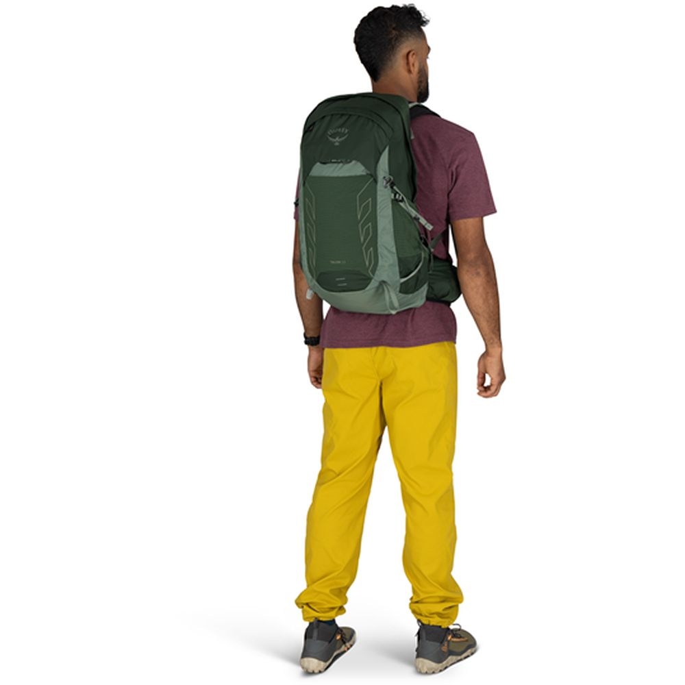Osprey Talon 22  Green Canopy Pine Leaf 10006767 dagrugzakken online bestellen bij Kathmandu Outdoor & Travel