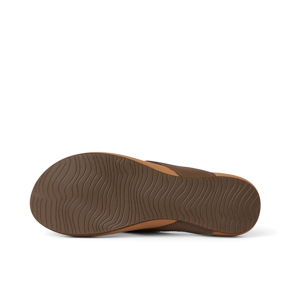 Reef Reef Cushion Melody Women's CJ8709-61 slippers Reef Cushion Melody Women's Chocolate/Lion CJ8709-61 slippers online bestellen bij Kathmandu Outdoor & Travel