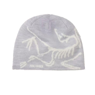 Arc'teryx Bird Head Toque Solitude / Arctic Silk