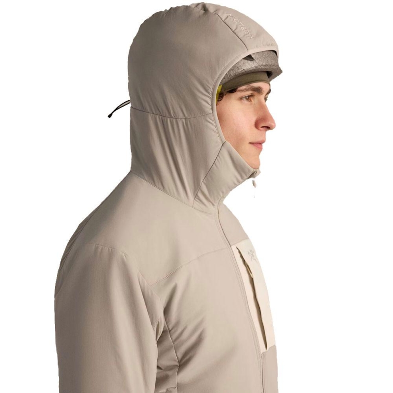 Arc'teryx Proton Hoody Rune / Sea Salt vest