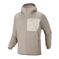 Arc'teryx Proton Hoody Rune / Sea Salt vest