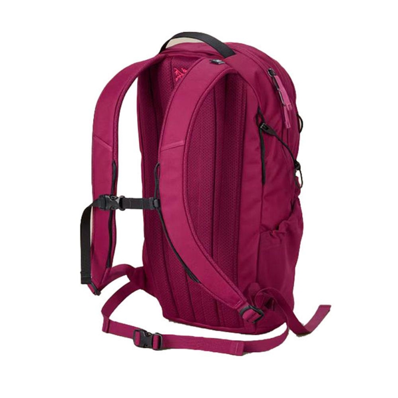Arc'teryx Mantis 16 Backpack Renegade kleine dagrugzak (tot 19 liter)