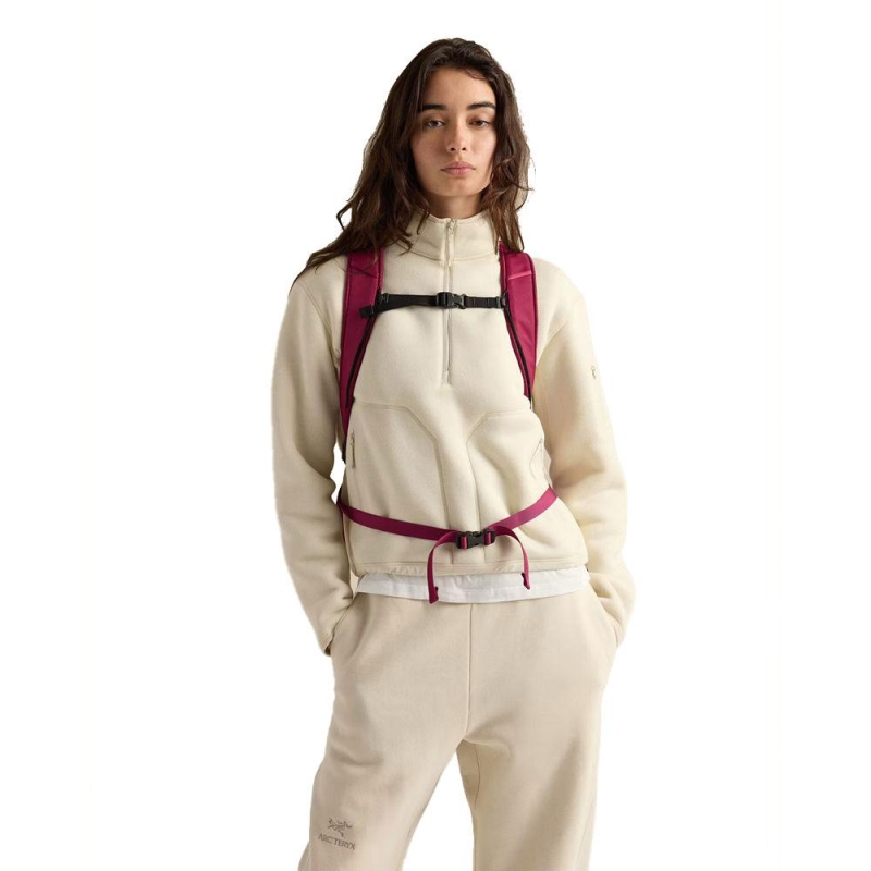 Arc'teryx Mantis 16 Backpack Renegade kleine dagrugzak (tot 19 liter)