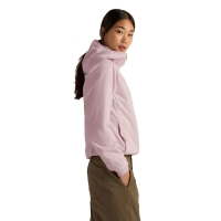 Arc'teryx Atom Hoody Women's Alpine Rose winterjas