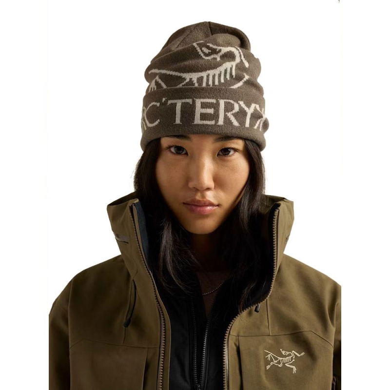 Arc'teryx Bird Word Toque Mongoose / Sea Salt muts