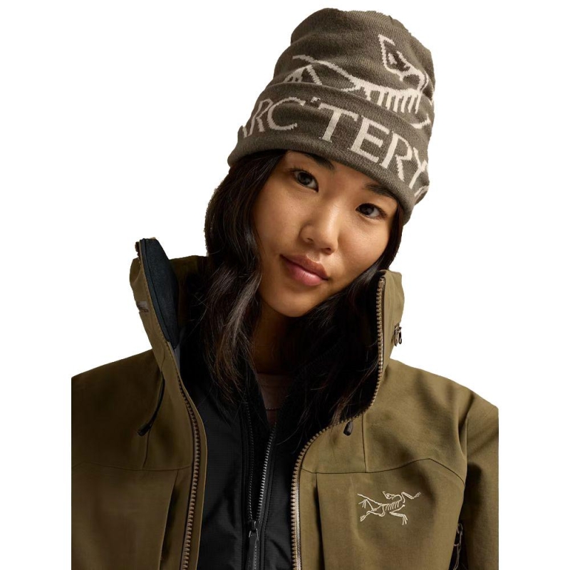 Arc'teryx Bird Word Toque Mongoose / Sea Salt muts