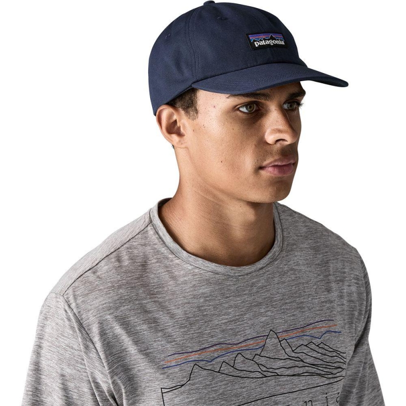 Patagonia P-6 Label Trad Cap New Navy hoed en pet