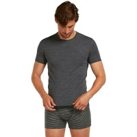 Icebreaker Anatomica SS Crewe Jet Hthr t-shirt