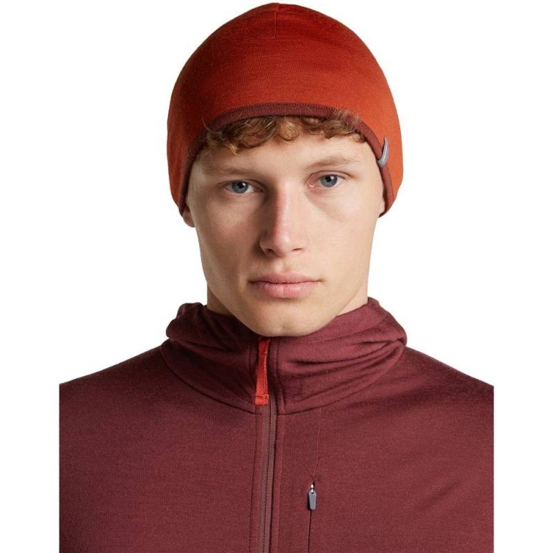 Icebreaker 200 Oasis Revers Beanie Agate/Port muts