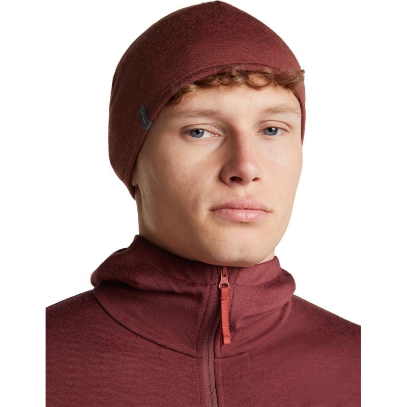 Icebreaker 200 Oasis Revers Beanie Agate/Port muts