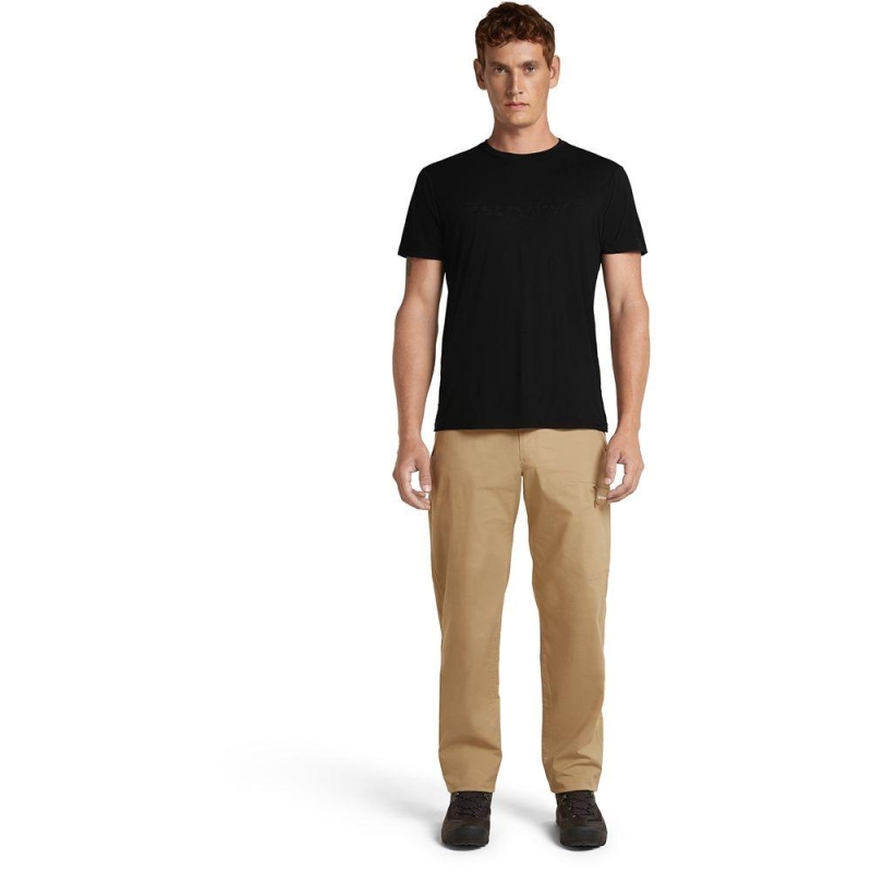 Icebreaker Merino 150 Tech Lite SS Tee IB Stitchline Black t-shirt