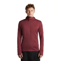 Icebreaker Merino 260 Quantum IV LS Zip Hoodie Port/Agate vest