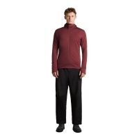 Icebreaker Merino 260 Quantum IV LS Zip Hoodie Port/Agate vest