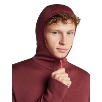 Icebreaker Merino 260 Quantum IV LS Zip Hoodie Port/Agate vest