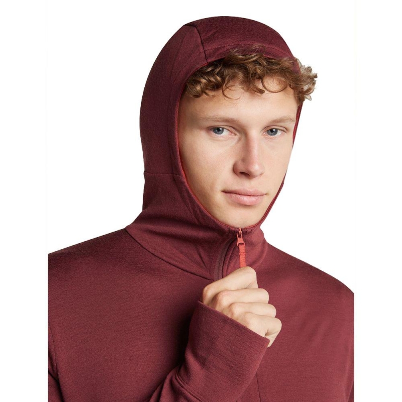 Icebreaker Merino 260 Quantum IV LS Zip Hoodie Port/Agate vest