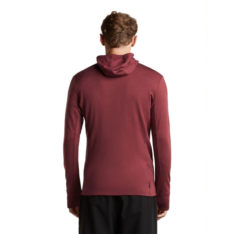 Icebreaker Merino 260 Quantum IV LS Zip Hoodie Port/Agate vest