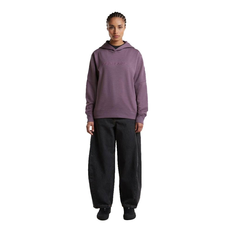 Icebreaker Mer 360 RealFleece Elemental LS Hood Women's Grey Plum vest